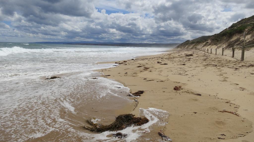 Holiday Home In The Heart Of Anglesea Exterior foto